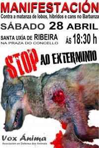 Manifestacin contra a matanza de lobos, hbridos e cans no Barbanza