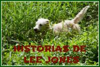 A grande aventura de acoller: Historias de LEE JONES, ADOPTADO!