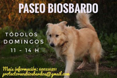 Paseo Biosbardo